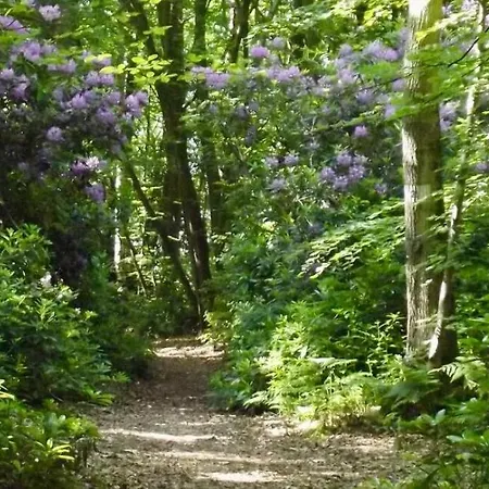 Apartment Du Mesnil Equemauville