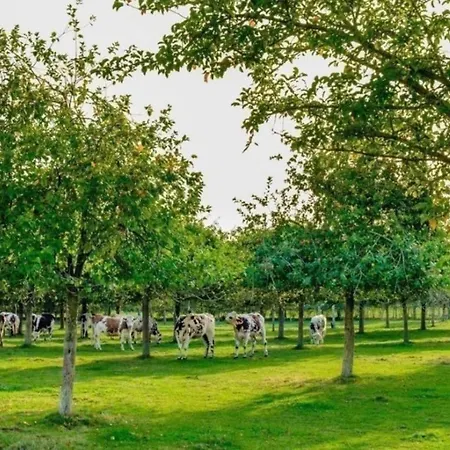 Du Mesnil Équemauville