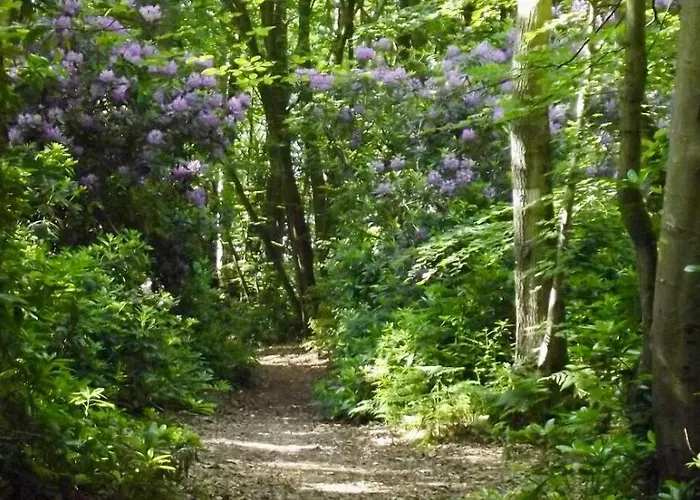 Daire Du Mesnil Équemauville