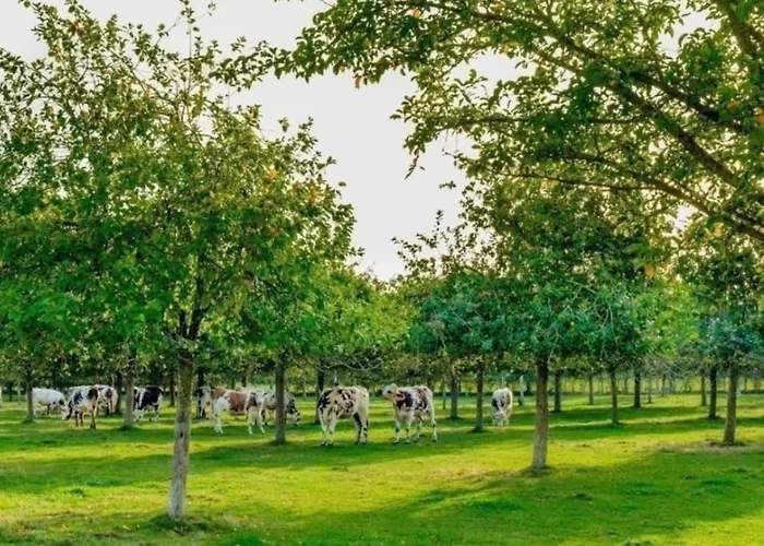 Du Mesnil Equemauville